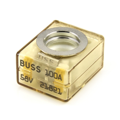 BUSSMANN 100FE AC Fuse – 100A 690V – 10 Pieces, New In Box